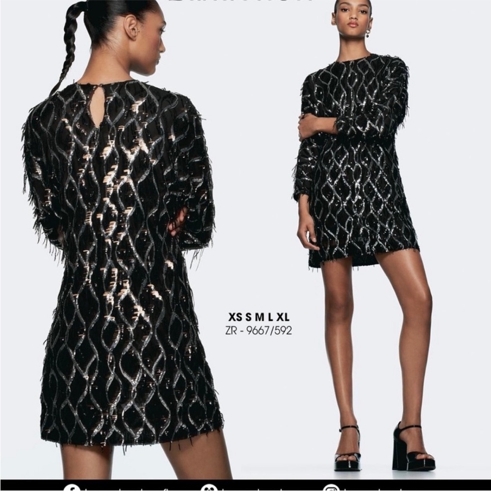 Nwt-Zara- SEQUIN FRINGED MINI DRESS - Picture 8 of 15